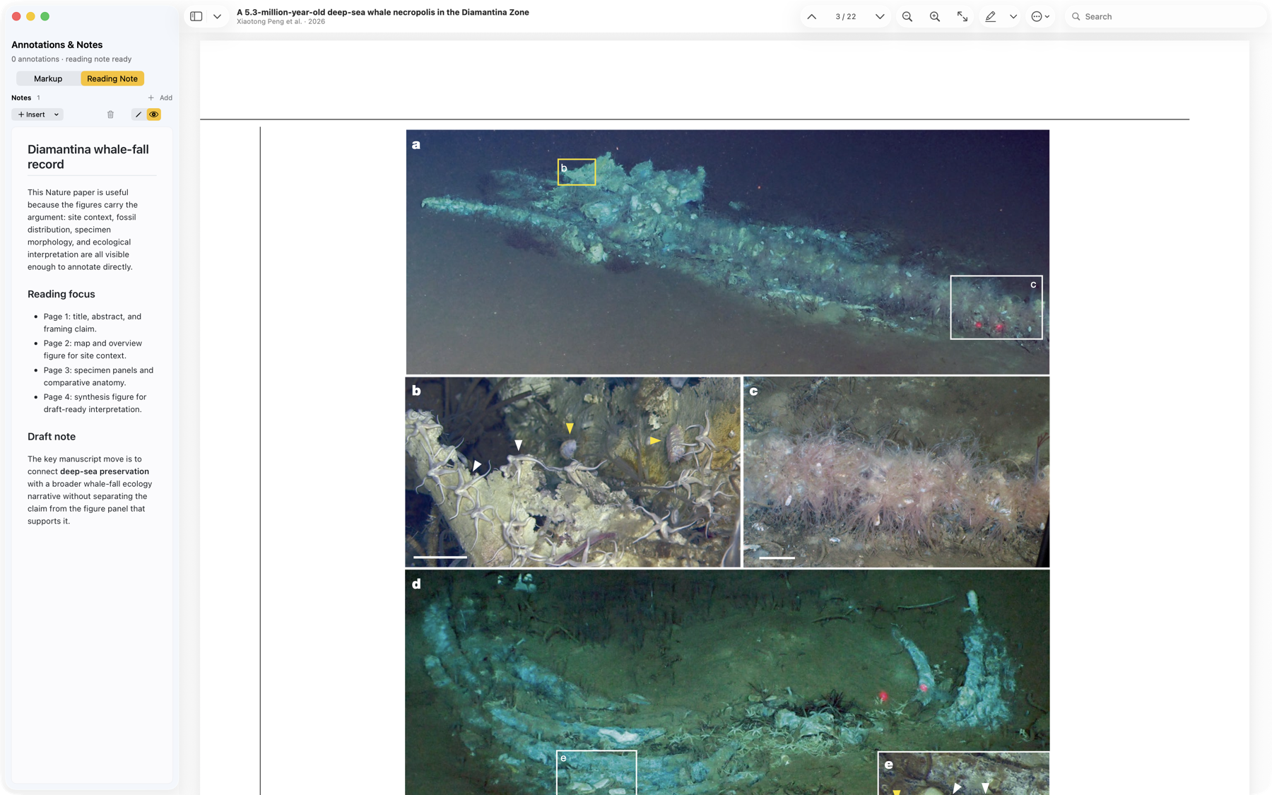 Mac reader showing a figure page from the Nature whale necropolis article.